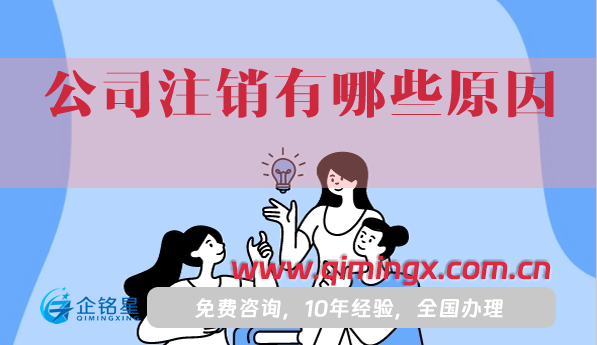 公司注销有哪些原因?怎么注销?